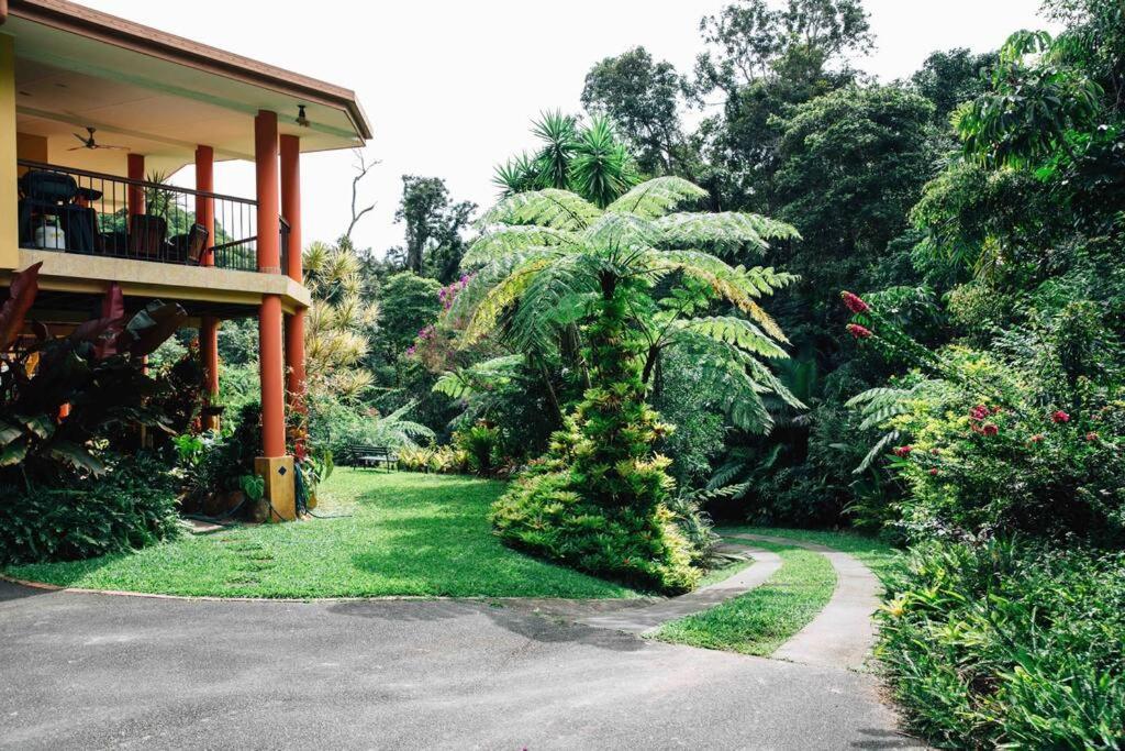 a garden with a palm tree and a house at Studio in the Rainforest in Kuranda