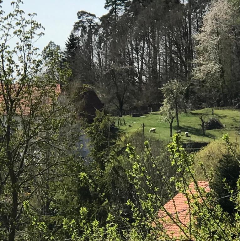 Zahrada ubytování Le Clos d'Auré.