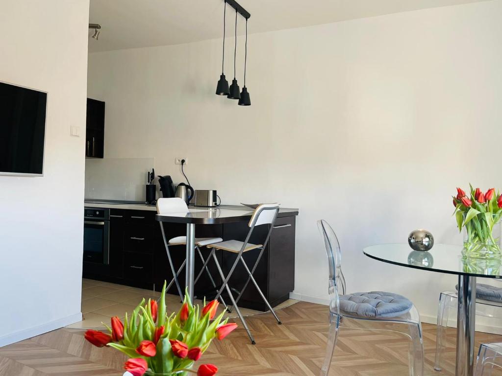 Televízia a/alebo spoločenská miestnosť v ubytovaní Łuczański Apartament w sercu Giżycka