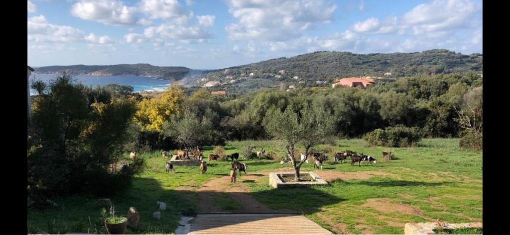 Résidence Castugna - 6