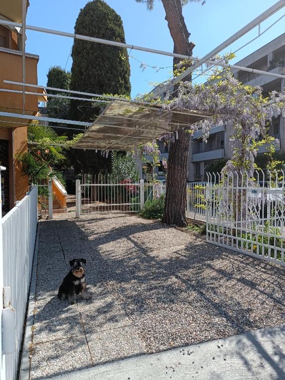 Zdjęcie z galerii obiektu Casa Lucy w mieście Bardolino