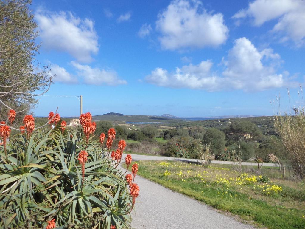 a path with red flowers on the side of a road at Casa GiovanMarco con vista mare in Santa Teresa Gallura