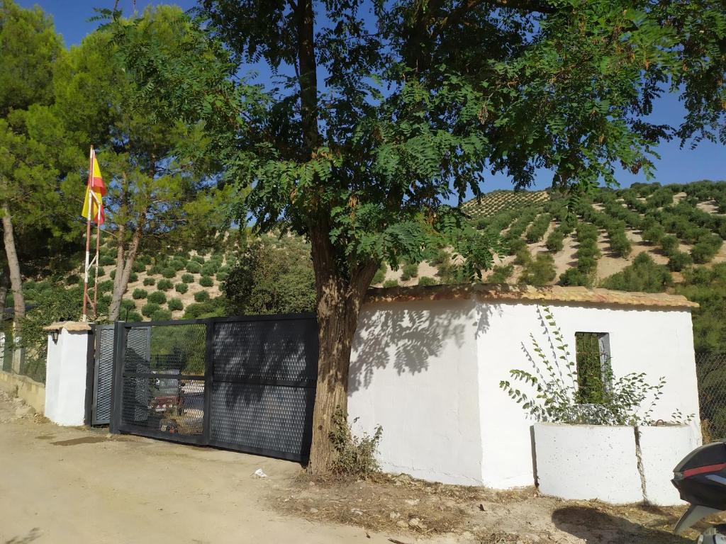 Príroda v okolí apartmánu