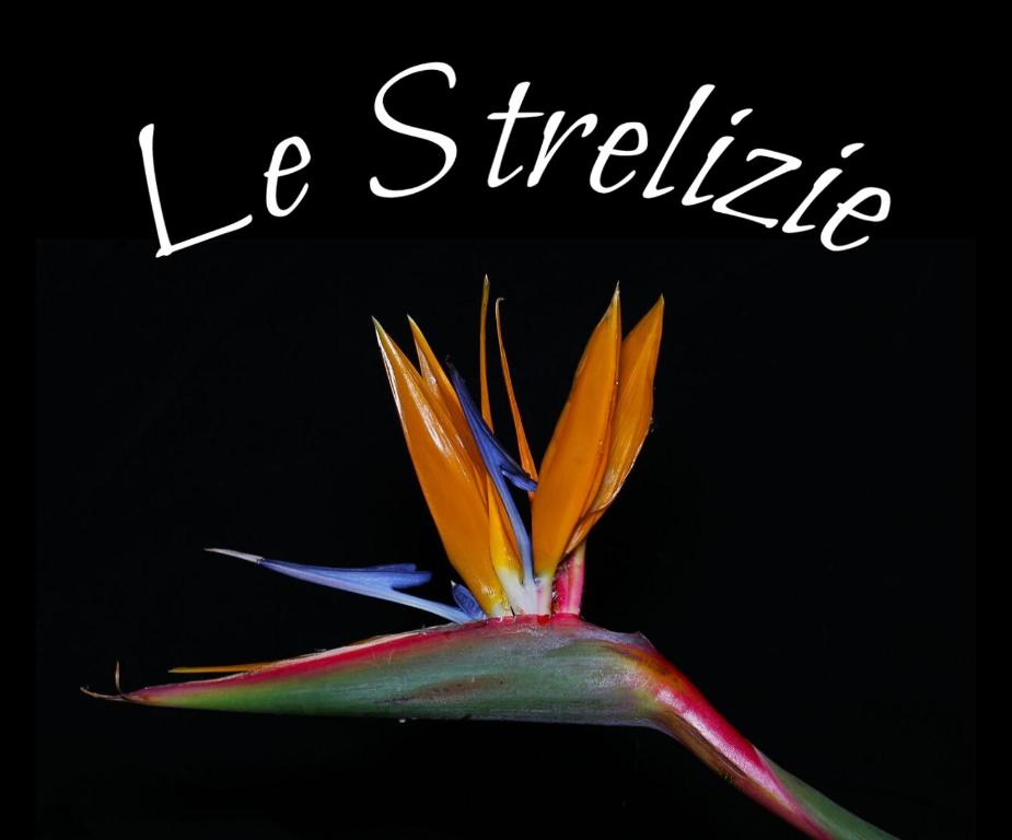Fotografie z fotogalerie ubytování Le Strelizie v destinaci Arnesano