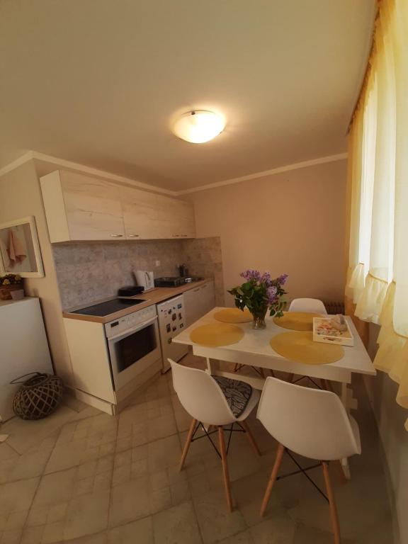 Kuchyň nebo kuchyňský kout v ubytování Apartman Cherry Gradac Valjevo