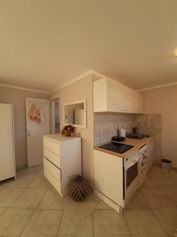 Kuchyň nebo kuchyňský kout v ubytování Apartman Cherry Gradac Valjevo