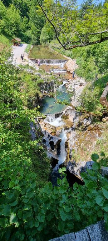 Mountain House Brutusi 17 Bjelasnica Trnovo BIH - 带花园的别墅