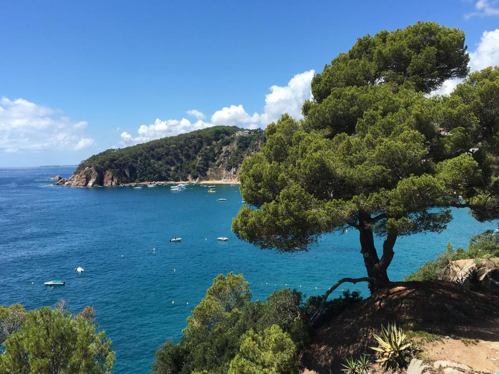 Fotografie z fotogalerie ubytování Appartements sol y mar cala llevado v destinaci Tossa de Mar