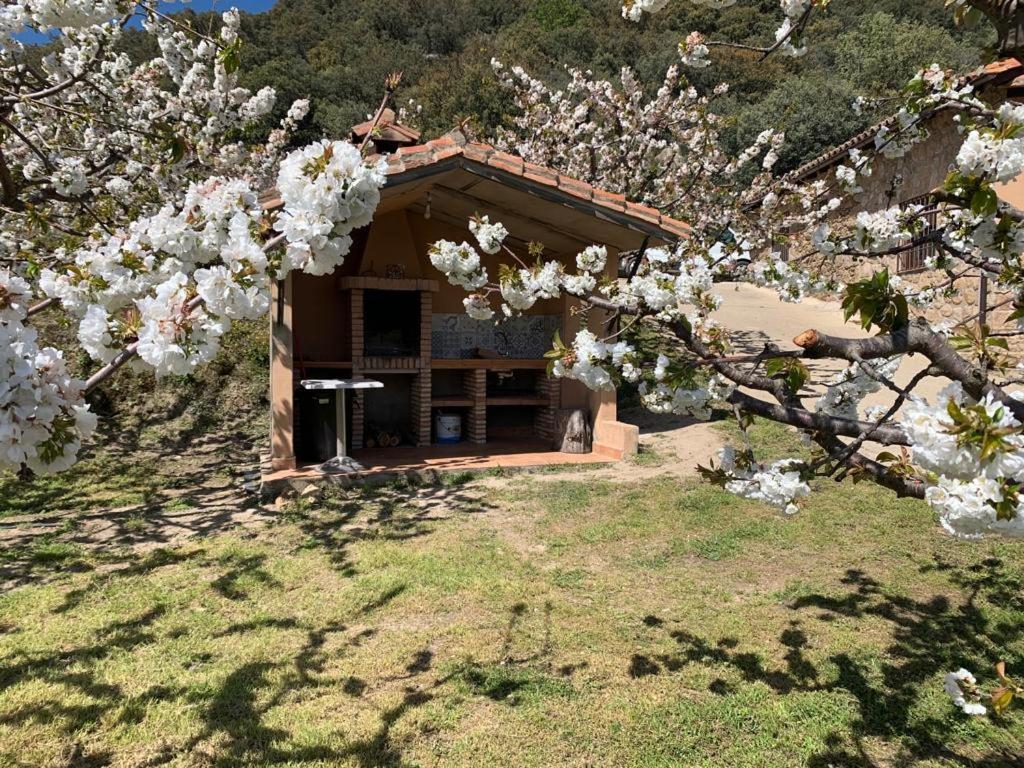 Vonkajšia záhrada v ubytovaní Casa Rural Canchal Madroñeras ***