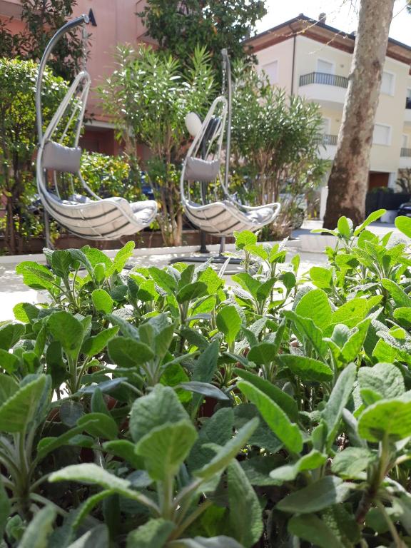 Zahrada ubytování Hotel Cormoran Riccione