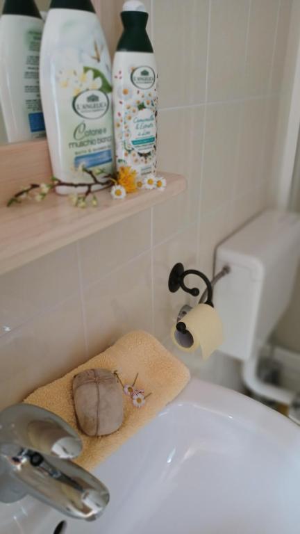 a bathroom with a sink with a roll of toilet paper at Apartments Bobi in Tolmin