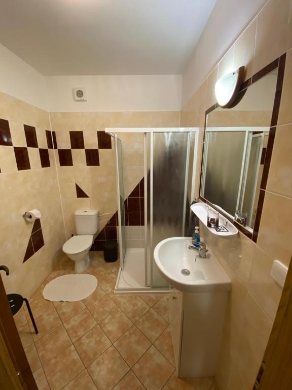 Koupelna v ubytování Apartment Martinec