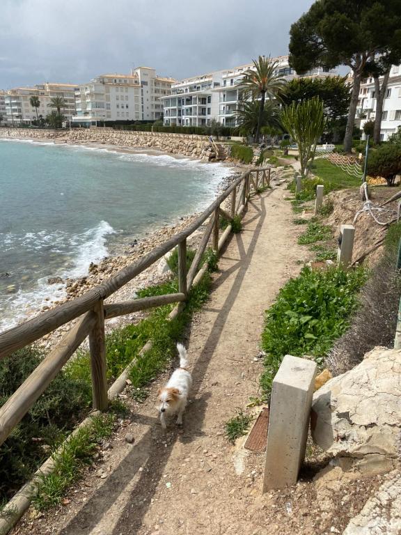 ALTEA BEACHGATE 2 ACCESO DIRECTO A LA PLAYA, Altea ...