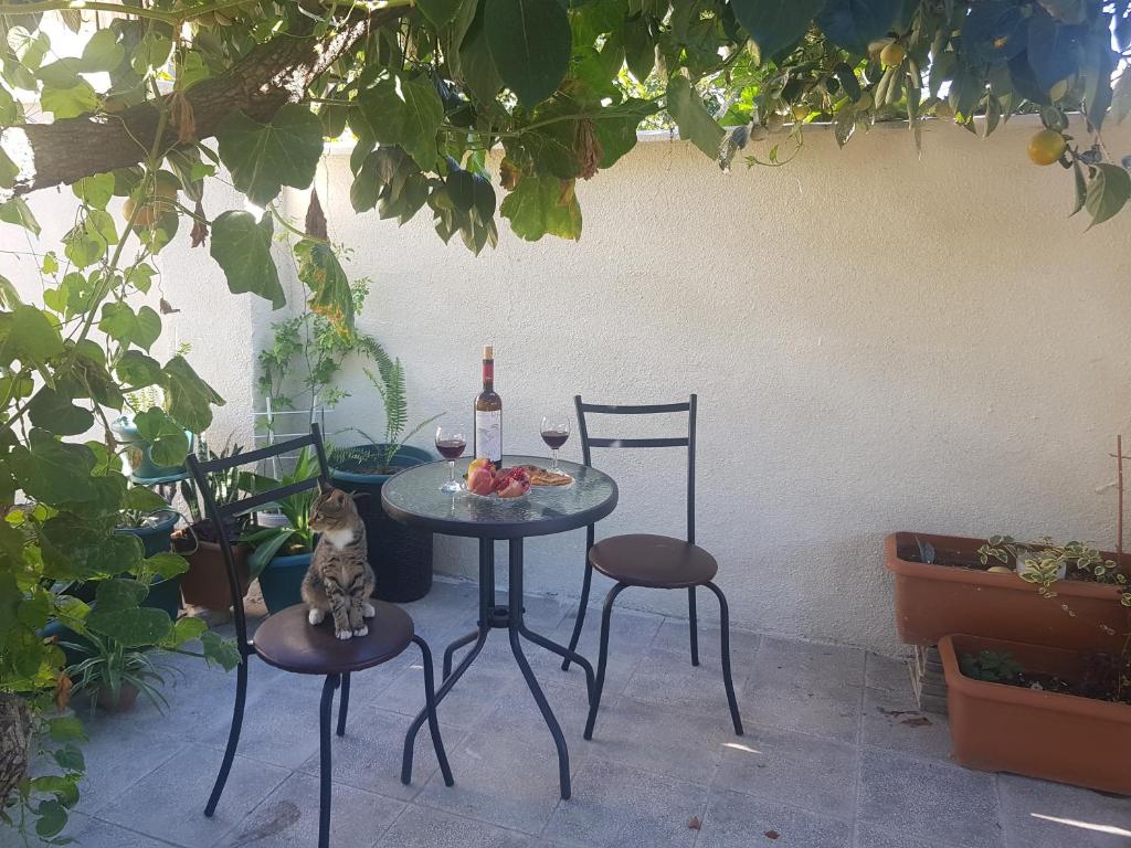 Домик у Куры