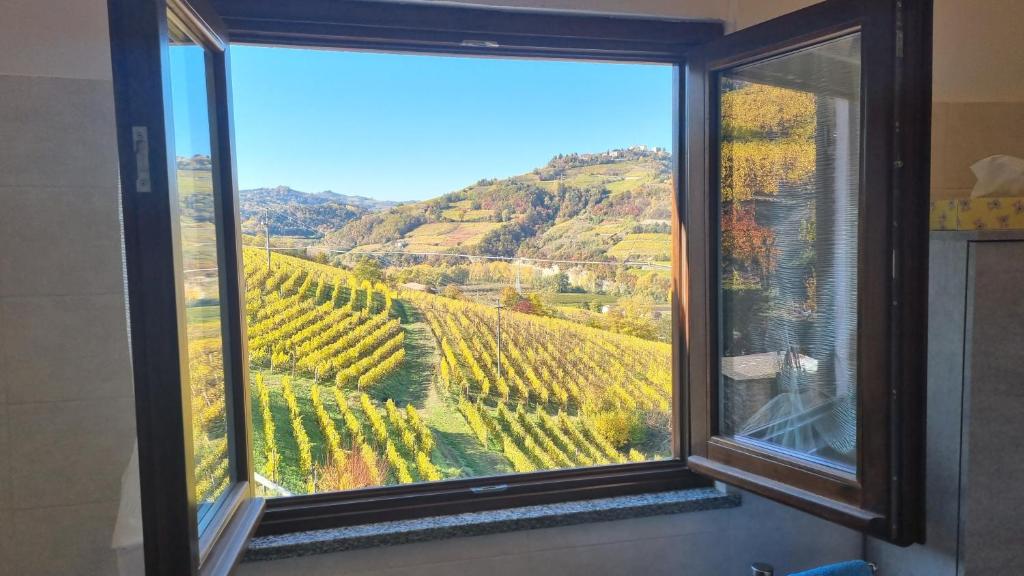 a window with a view of a vineyard at Ca ed Giuanoto in Santo Stefano Belbo