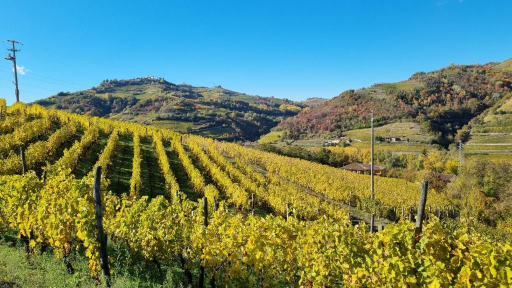 Paesaggio naturale nelle vicinanze dell'appartamento
