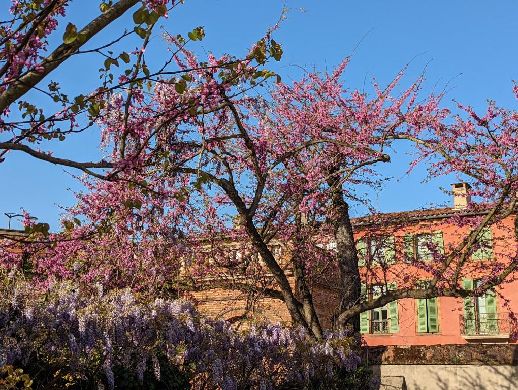 Moustier - Apartamento De Una Habitación