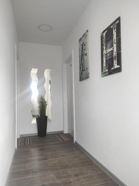 un corridoio con pareti bianche e una pianta in vaso di Prenoćište Ljiljana 2 a Livno