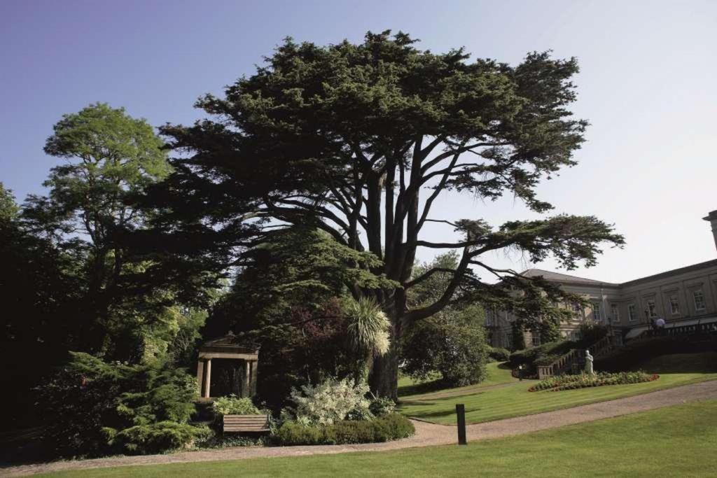 Macdonald Bath Spa Hotel - Resim 30