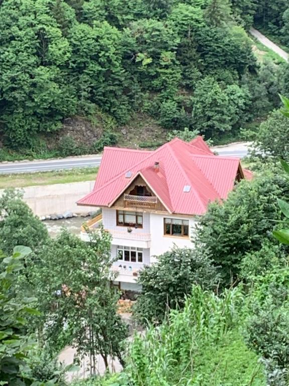 ÇamlıhemşinにあるKoloni Apartの木立の中に赤い屋根の家