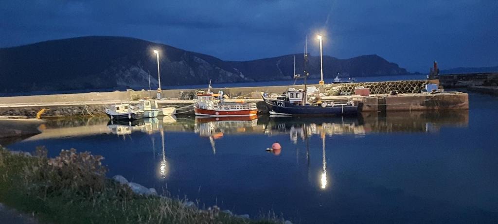 a group of boats docked in a harbor at night at Creevagh (Room Only) in Keel