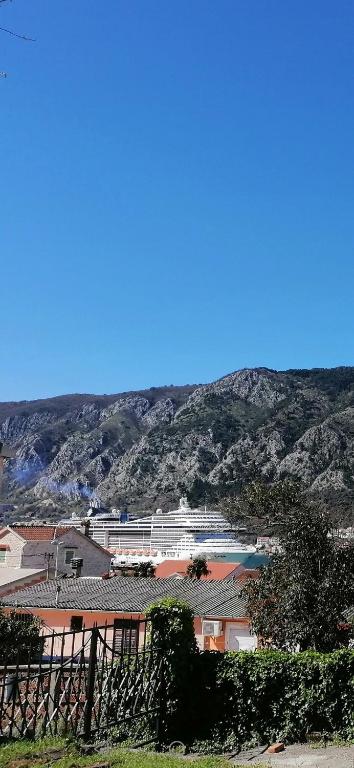 Apartments Željka-Dobrota - 18