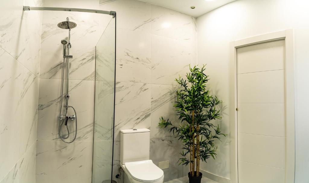 Fotografie z fotogalerie ubytování ESPINEL APARTMENTS v destinaci Ronda
