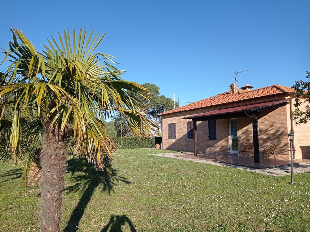 una palma di fronte a una casa di Montericco House a Mondavio