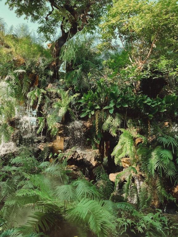 Sukruethai Hotel Chiang Mai - ????????????? ????????? - Resim 27