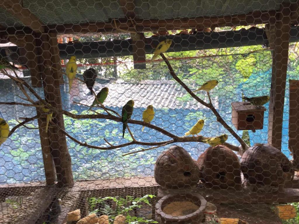 Zahrada ubytování Ella nature nest