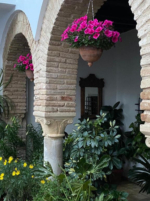 El patio de Regina - 19