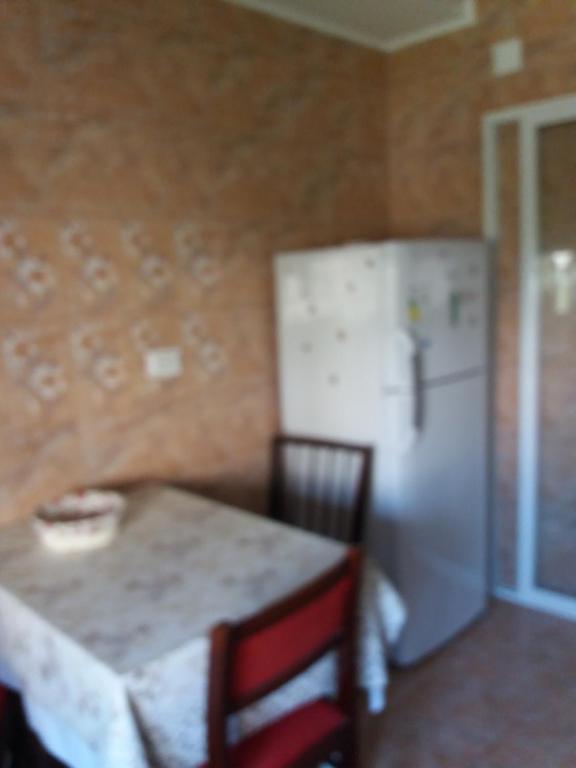 a kitchen with a table and a refrigerator at Apartament Nicoleta in Jurilovca