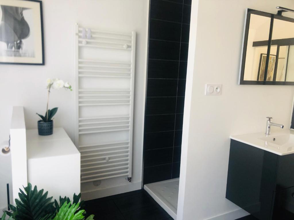 een badkamer met een douche en een wastafel bij studio moderne et confortable Le nid in Cholet