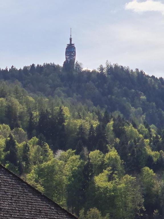 Príroda v okolí apartmánu