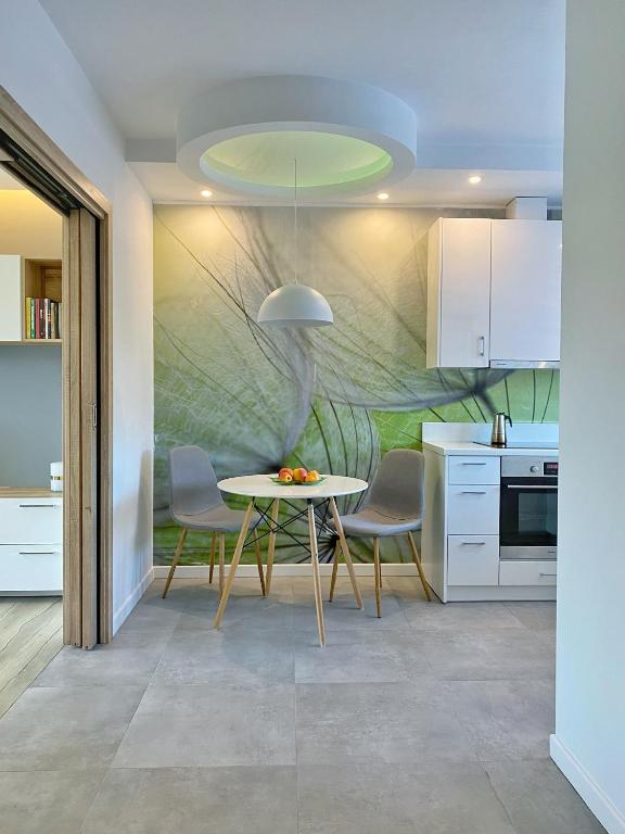Kuchyňa alebo kuchynka v ubytovaní Capital Towers - Apartament Green z widokiem na rzekę