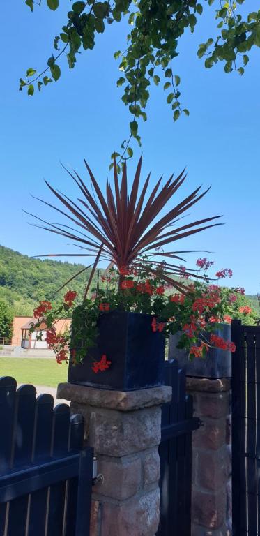 Hôtel Deybach – photo 48