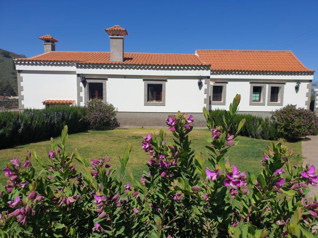 A garden outside Casa Lucas