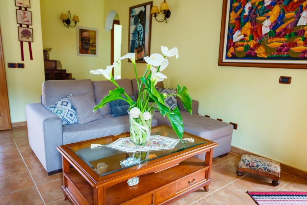 A seating area at Casa Lucas