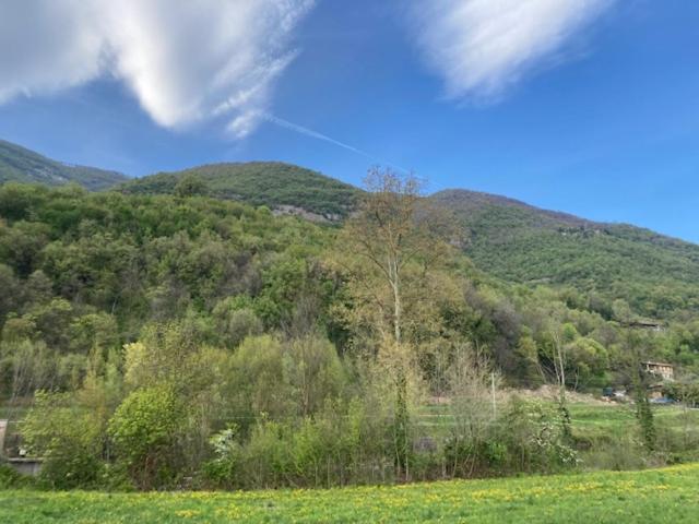 une colline verdoyante avec des arbres et un champ avec une maison dans l'établissement AL CLISI graziosa mansarda, à Villanuova sul clisi