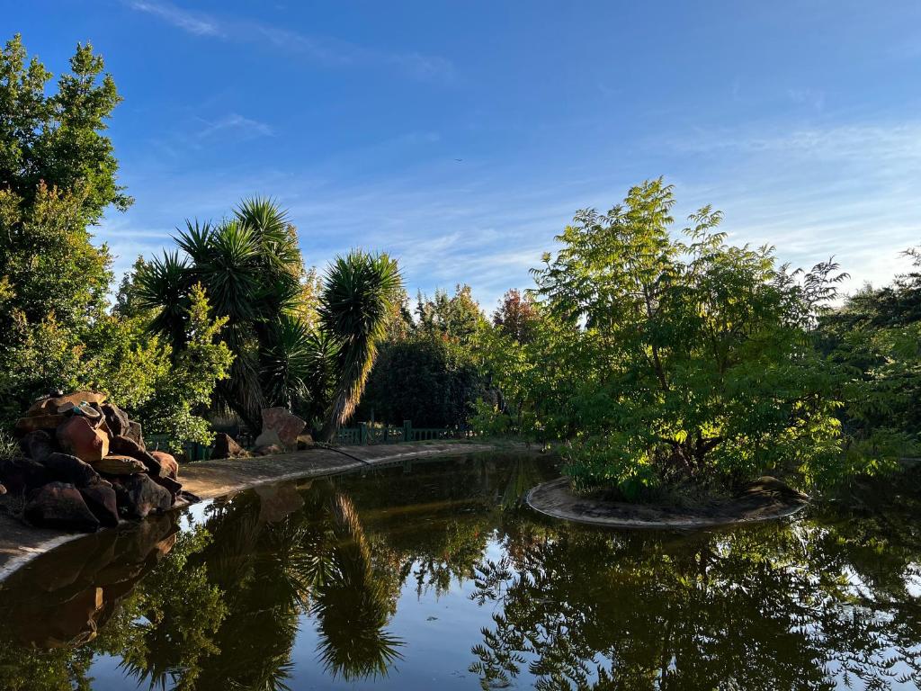 staw w parku z drzewami i wodą w obiekcie White Linen Guesthouse w mieście Tierpoort