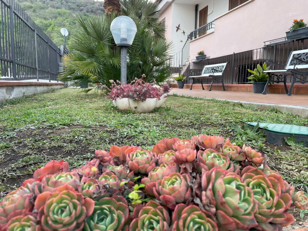 Ogród w obiekcie Villa Antonella
