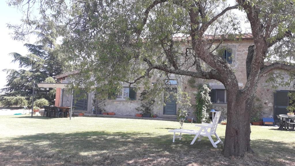 uma cadeira branca sentada debaixo de uma árvore em frente a uma casa em Casolare di campagna em Viterbo