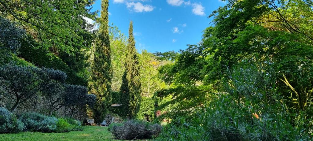 Zahrada ubytování Ribeira Delos