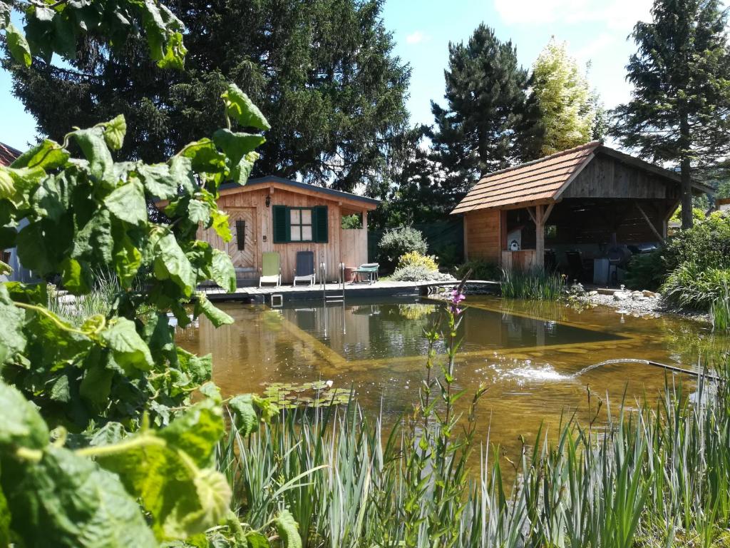 Příroda nedaleko apartmánu