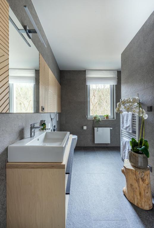 Kuchyň nebo kuchyňský kout v ubytování Apartmány u Lesa