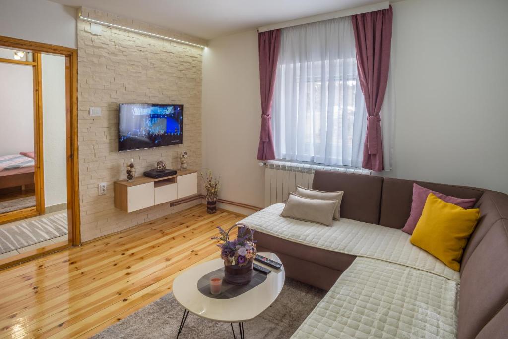 sala de estar con sofá y TV en Vojinovic Apartman, en Žabljak