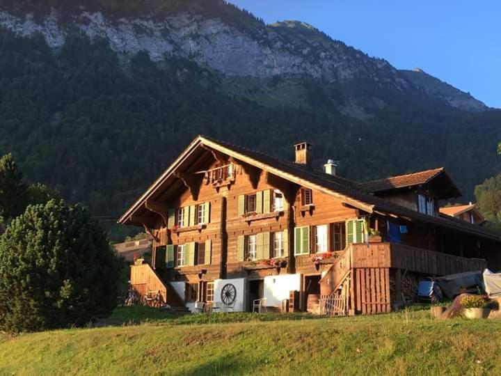 Příroda nedaleko apartmánu