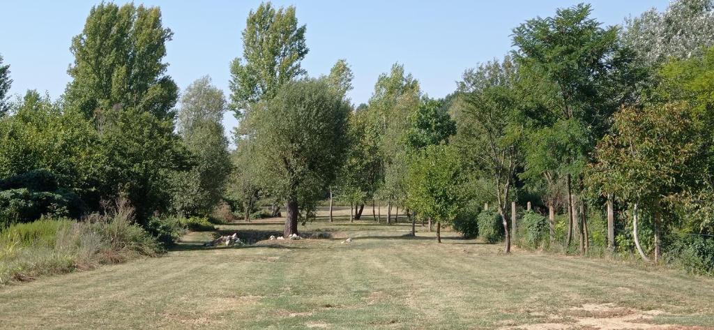 an empty field with trees in the background at Végvári Vendégház in Magyarbóly