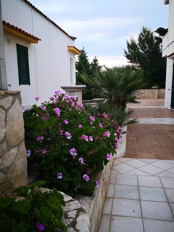 Zahrada ubytování Villa Monacis Guest House