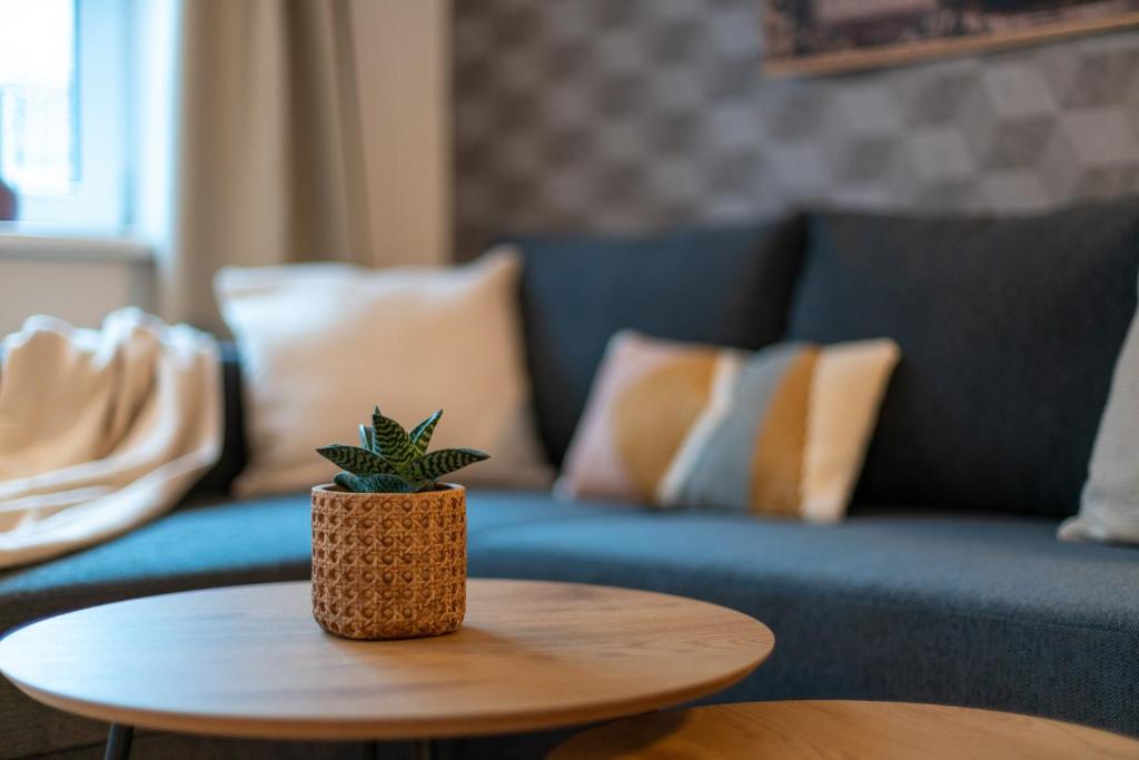 TREEHOUSE - KiDS PARADISE - CENTRAL - SSC - 11